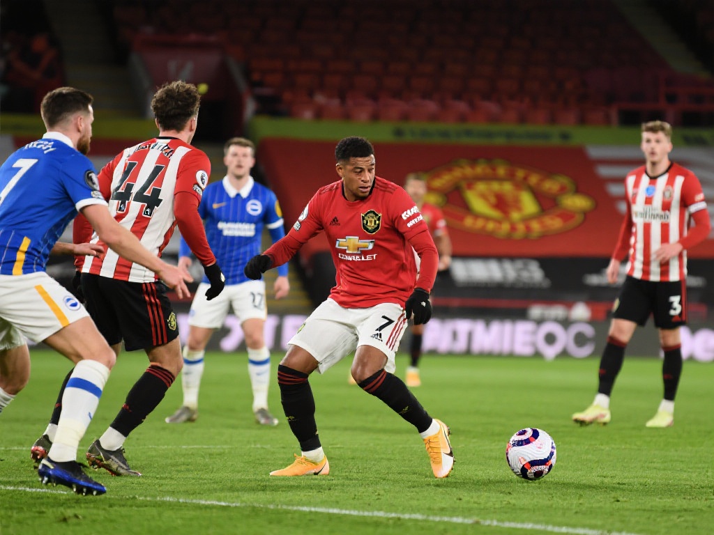 足球是一项 足球是一项